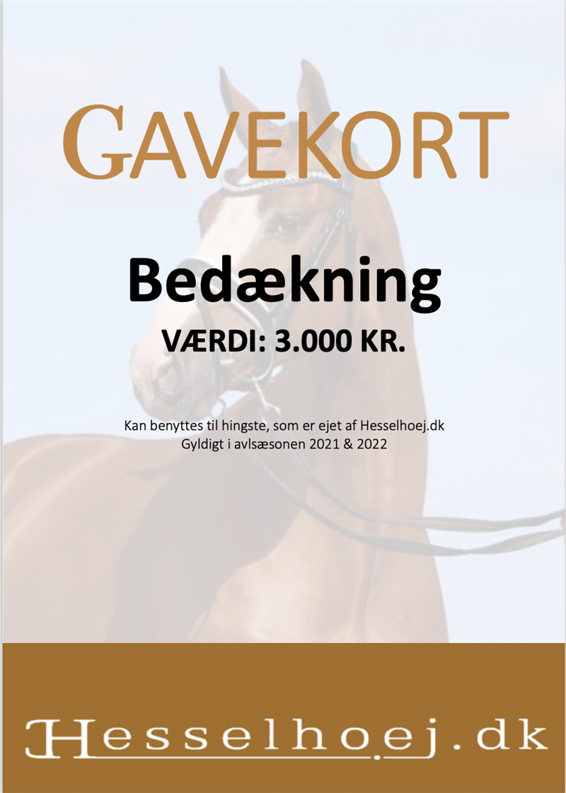Bl.a. Eva Aagaard har ønsket at benytte Hesselhoej Donkey Boss til hendes hoppe, hvis hun skulle være den heldige vinder.