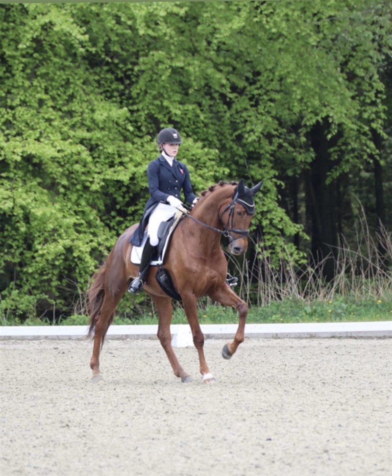 Cecilie Hedegaard og Siluet ved Ecco Cup i Kolding 2021